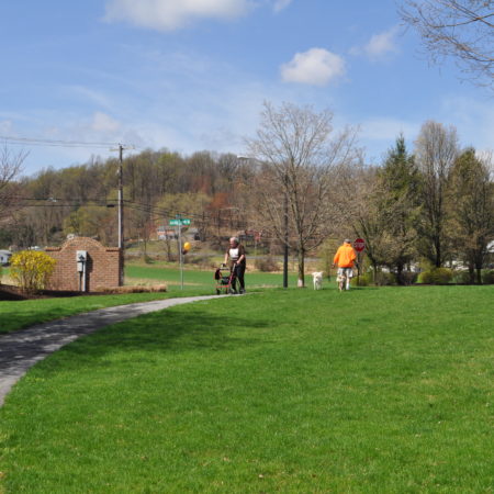 a horse riding on a horse carriage