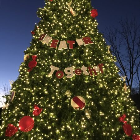 a large christmas tree with lights