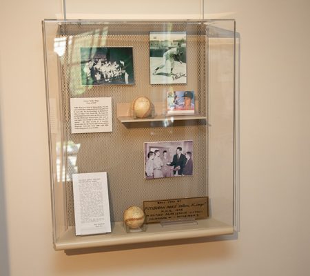 a display case with pictures and eggs