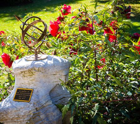a statue in a garden