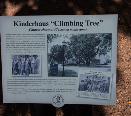 a sign with pictures of people and trees