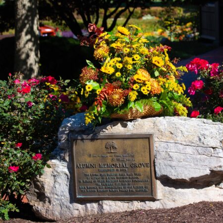 a sign on a rock with flowers