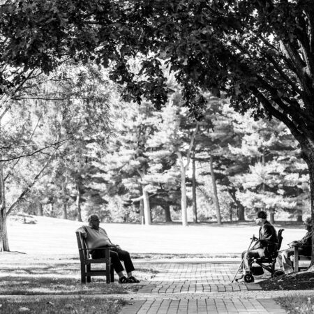 people sitting in a park