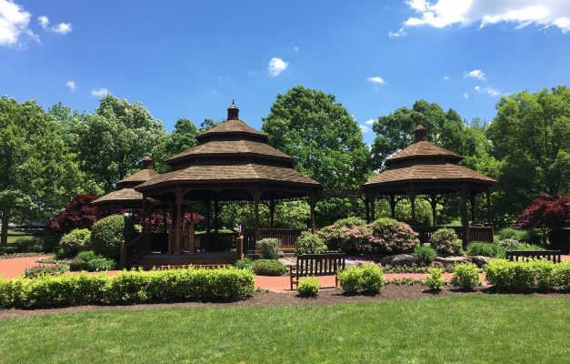 Alumni Memorial Grove